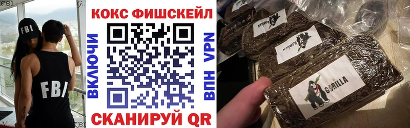 Cocaine FishScale  Купить где  Сунжа 
