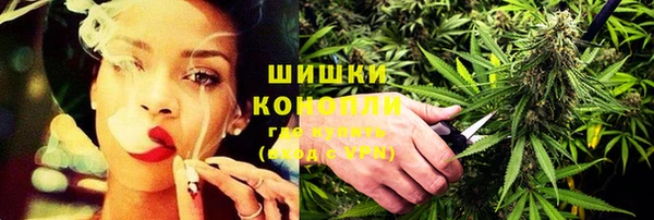 сатива Балахна