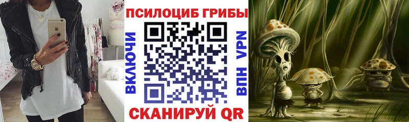 Галлюциногенные грибы Magic Shrooms  Купить  Сунжа 